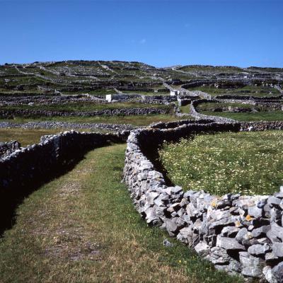 1 Lw 03 97062313 Drystone Walls Inishmore Aran