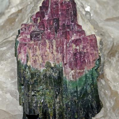 1 Lw 17 220030004 Turmaline Watermelon Ii