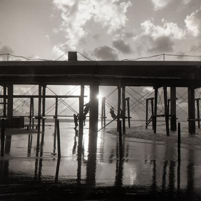 1 Lw 33 54002104 Frolicking Under The Pier