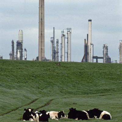 1 Lw 53 85030130 Boe En Bah Ii Pernis Hzw