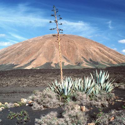 9 Vp 43 N 202010632 Caldera Blanca Lanzarote