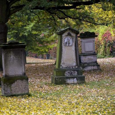 Dirk Wiersma - Herfsttij